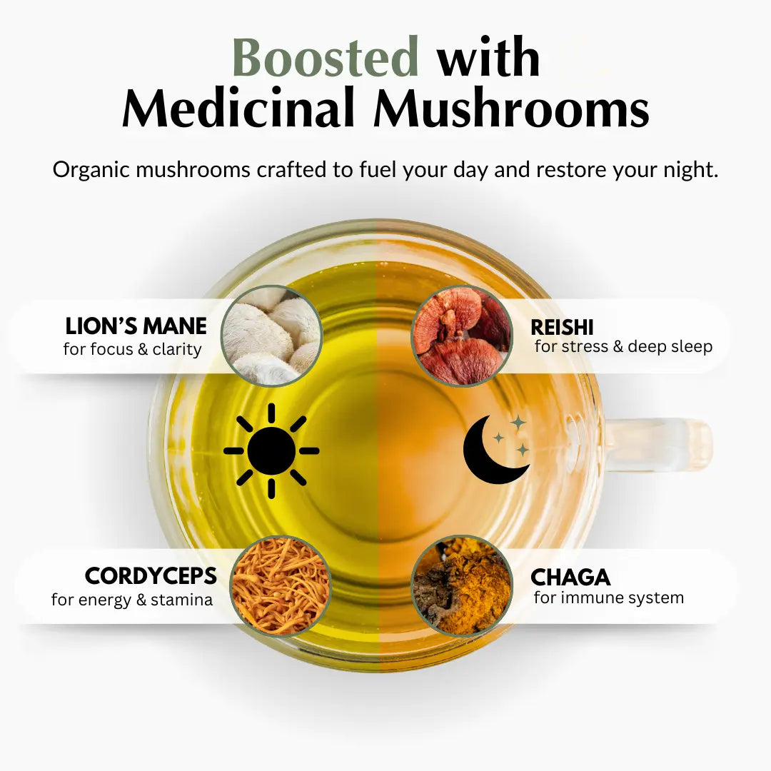 Organic Mushroom Tea Blend
