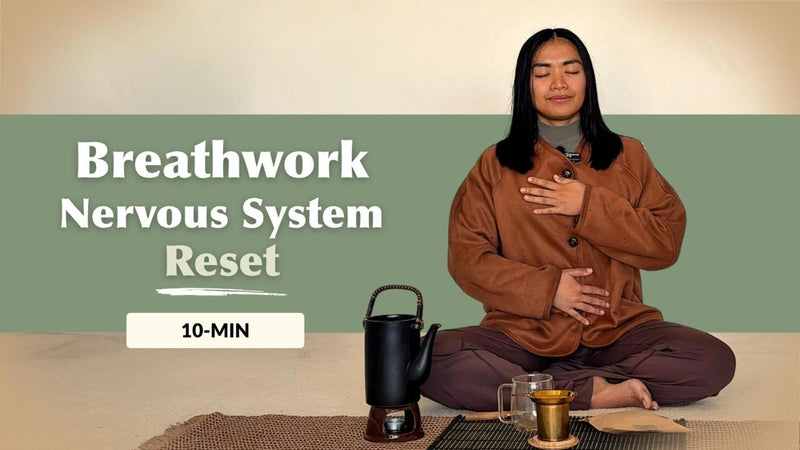 Reset & Calm Your Nervous System