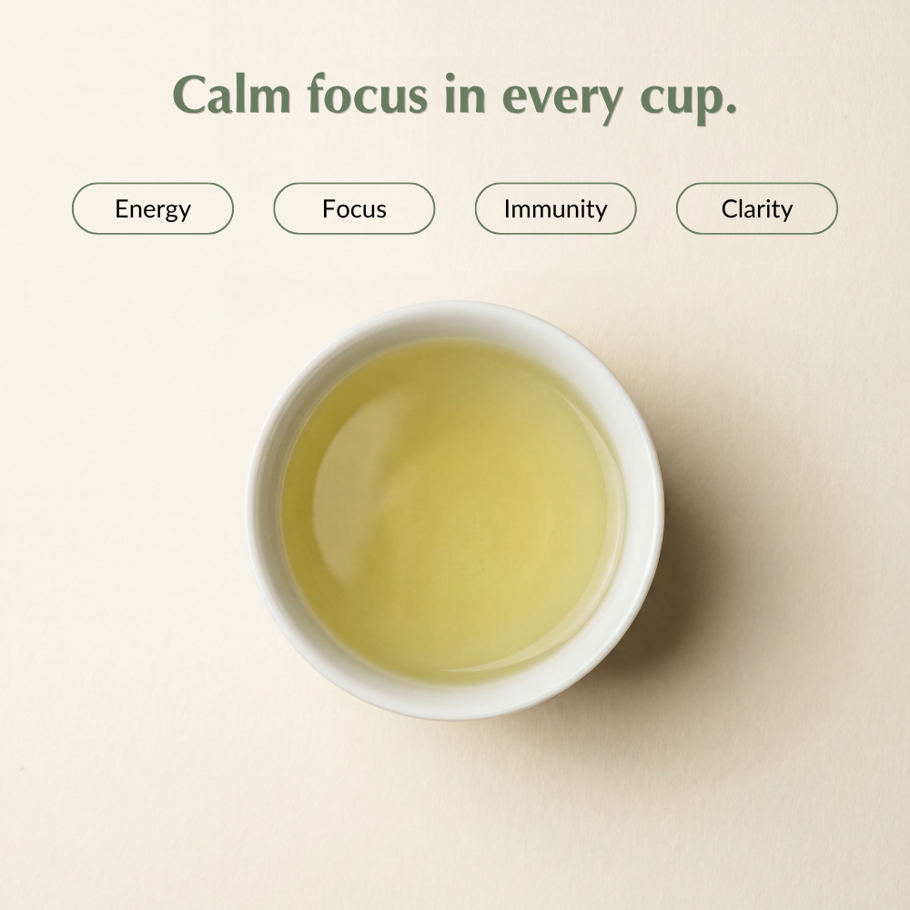 Sencha green tea benefits — calm focus, energy, immunity and clarity in every cup