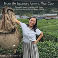 Loulou founder of Loulou's Tea at organic Japanese tea farm in Uji Kyoto — from farm to your cup