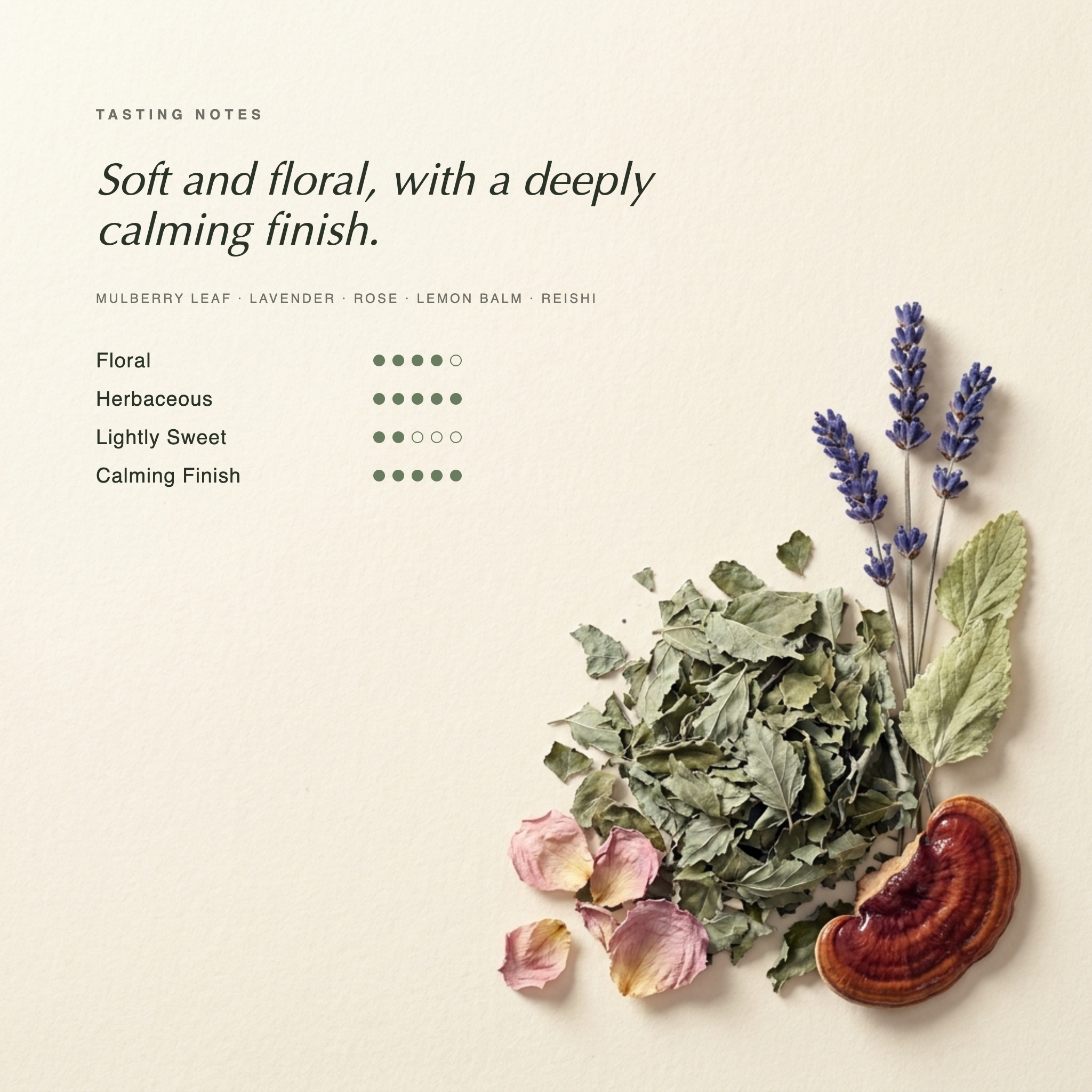 Kuwanoha Bliss tasting notes — soft and floral Japanese mulberry leaf tea with a deeply calming finish. Botanical specimen on cream paper.